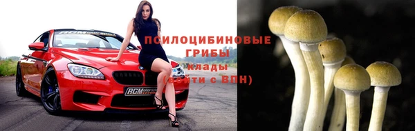 прущий лед Белоозёрский