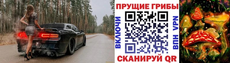 Галлюциногенные грибы GOLDEN TEACHER Купить где Анапа