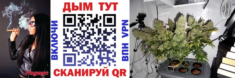 Купить Анапа Бошки марихуана VHQ